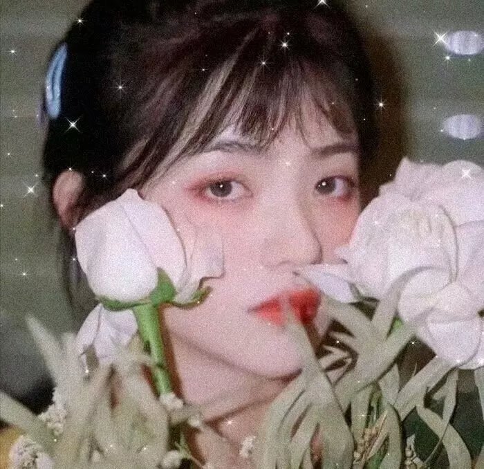 百合与直觉