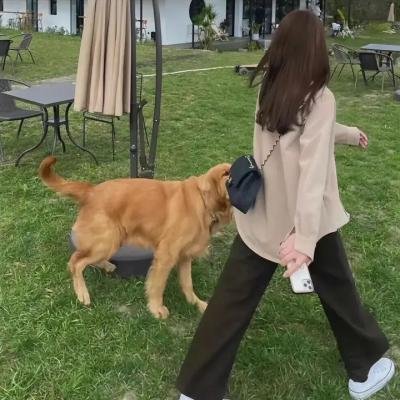 歪妹无敌追男记